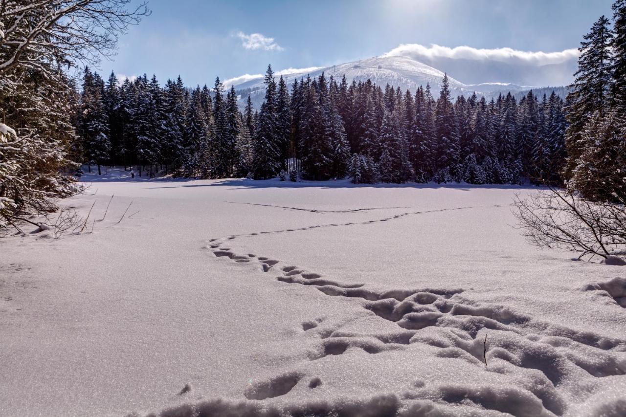 Chata Nella - Jasná Demänovská Dolina Exterior foto